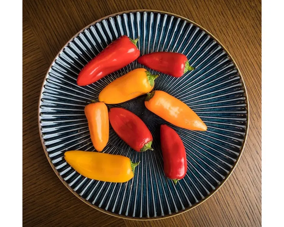 Medium Plates^MIYA Company Aiya Navy 8-3/4" Plate